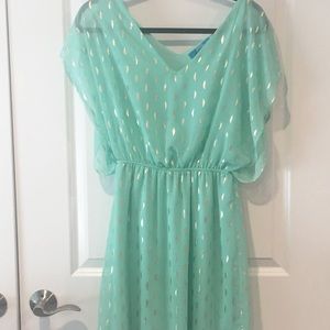 Pretty Francesca’s Dress